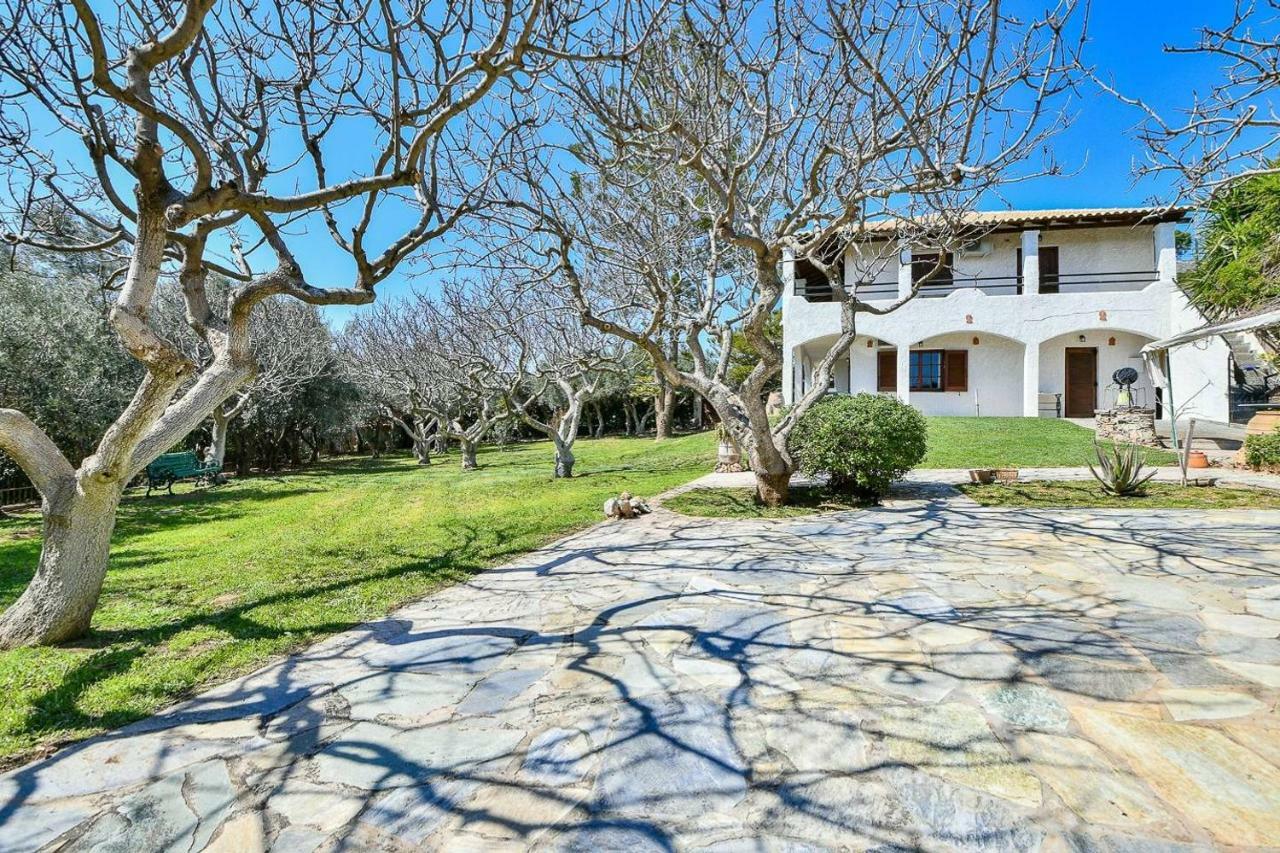 Light-Filled Home With Garden Near Beach Anavyssos Exterior foto