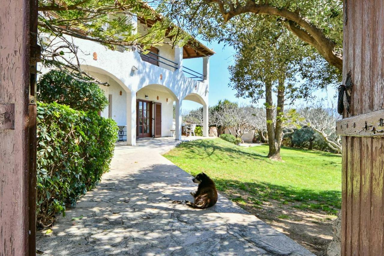 Light-Filled Home With Garden Near Beach Anavyssos Exterior foto